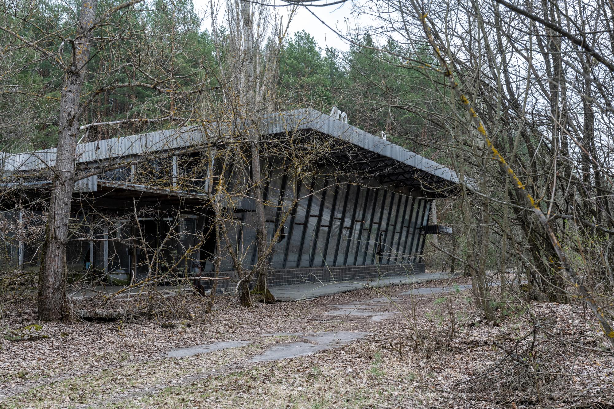 Від зони відчуження до зони відродження: думки фахівців з різних сфер про майбутнє Чорнобиля